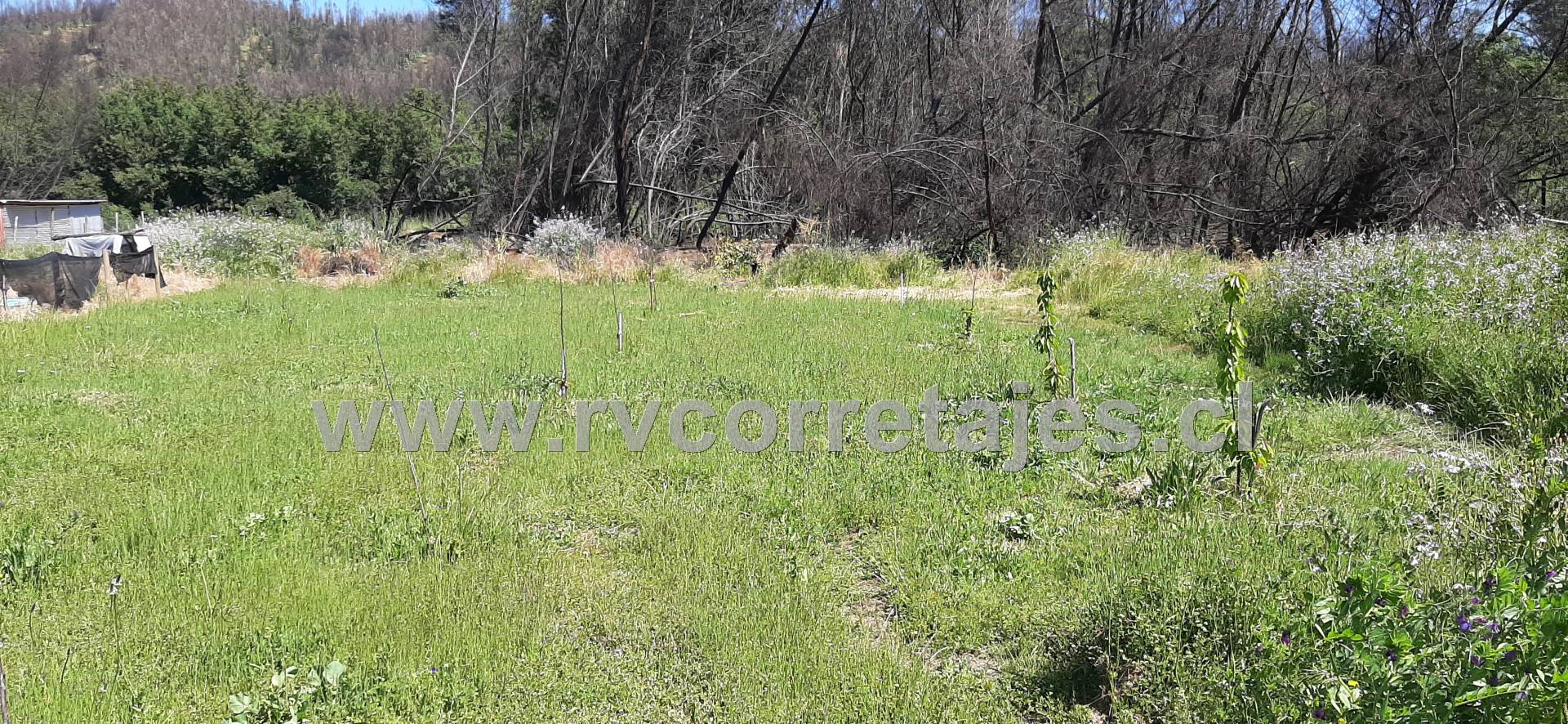 Quillón vendo parcela con cabaña y piscina. $92.000.000.-